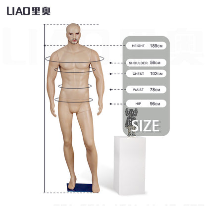Skin Tone Adult Realistic Male Mannequin Plastic Men Model Boutique Fashion Display Manikins for Sale